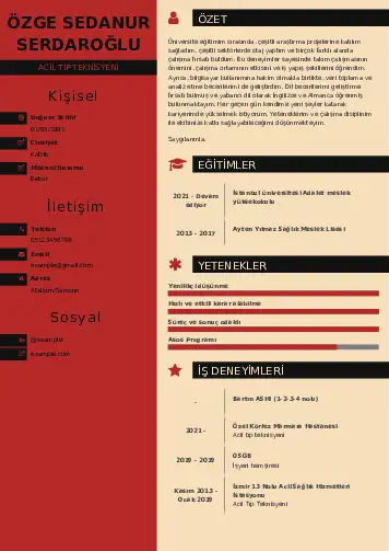Acil Tıp Teknisyeni CV Örnekleri cv indir